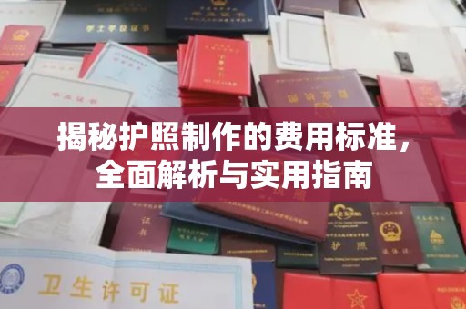 东凤揭秘护照制作的费用标准，全面解析与实用指南
